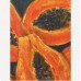 Juicy Papaya Fruits — Original Oil Painting